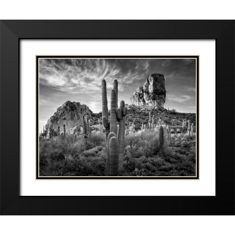 BandW Desert View I Black Modern Wood Framed Art Print with Double Matting by Drost, David