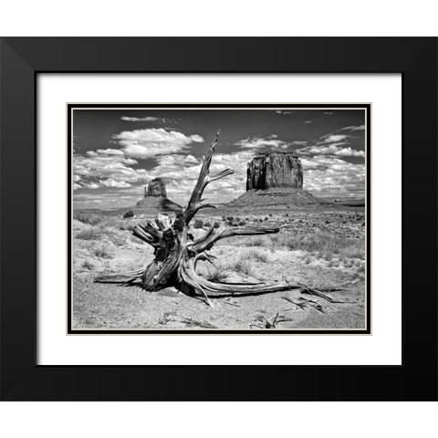 BandW Desert View V Black Modern Wood Framed Art Print with Double Matting by Drost, David