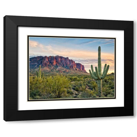 Cacti View II Black Modern Wood Framed Art Print with Double Matting by Drost, David