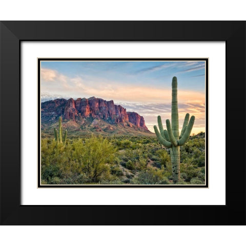 Cacti View II Black Modern Wood Framed Art Print with Double Matting by Drost, David