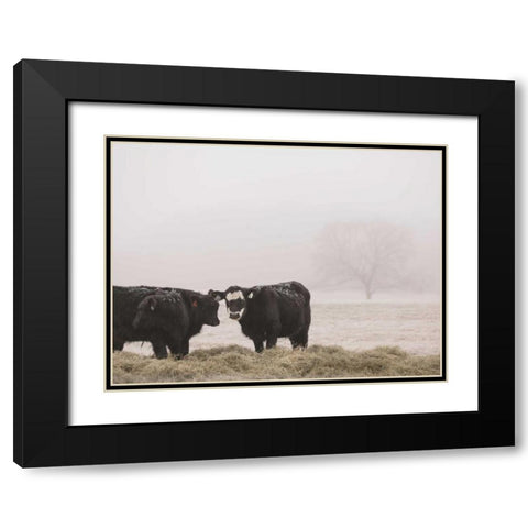 Farm Study I Black Modern Wood Framed Art Print with Double Matting by Mead, Adam