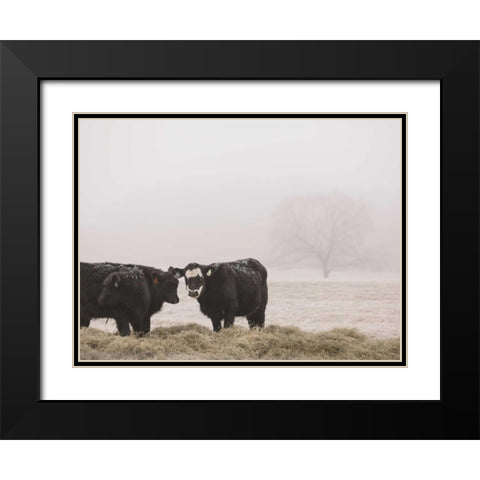 Farm Study I Black Modern Wood Framed Art Print with Double Matting by Mead, Adam