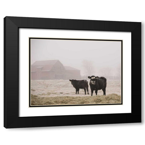 Farm Study III Black Modern Wood Framed Art Print with Double Matting by Mead, Adam