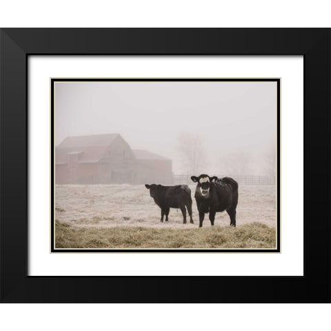 Farm Study III Black Modern Wood Framed Art Print with Double Matting by Mead, Adam