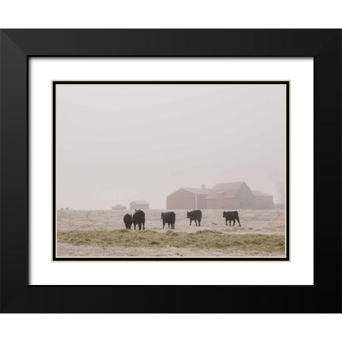 Farm Study IV Black Modern Wood Framed Art Print with Double Matting by Mead, Adam