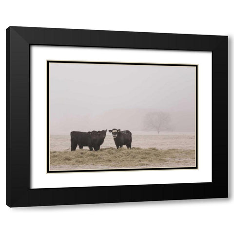 Farm Study V Black Modern Wood Framed Art Print with Double Matting by Mead, Adam
