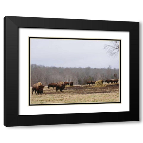 Farm Study VI Black Modern Wood Framed Art Print with Double Matting by Mead, Adam