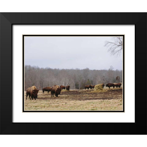 Farm Study VI Black Modern Wood Framed Art Print with Double Matting by Mead, Adam