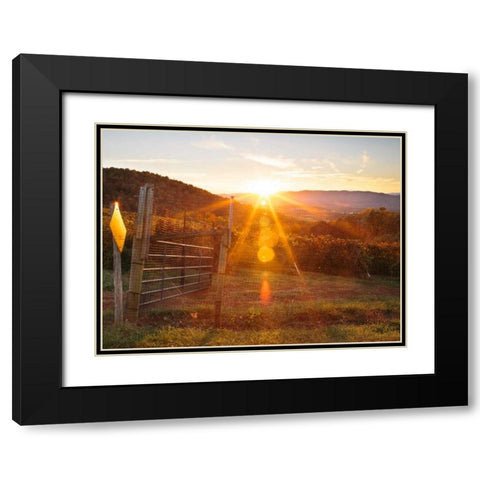 Farm Study VII Black Modern Wood Framed Art Print with Double Matting by Mead, Adam