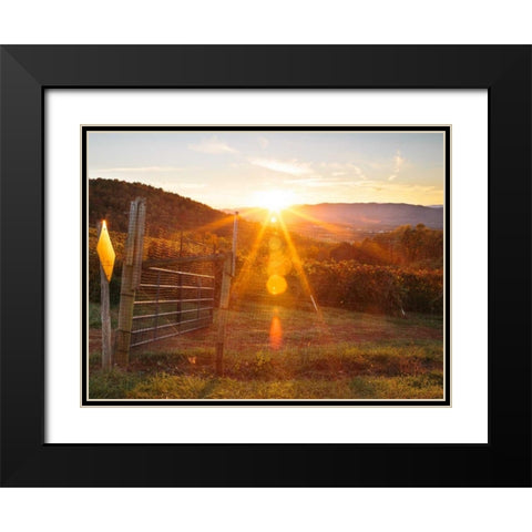 Farm Study VII Black Modern Wood Framed Art Print with Double Matting by Mead, Adam