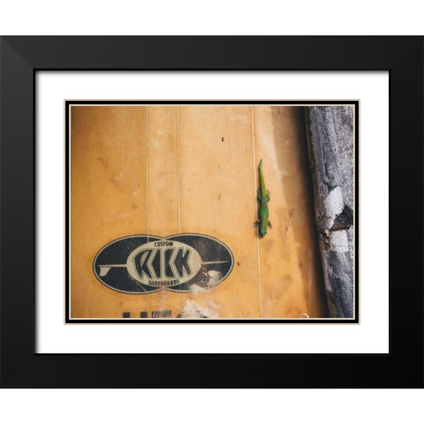 Hawaii View IX Black Modern Wood Framed Art Print with Double Matting by Mead, Adam