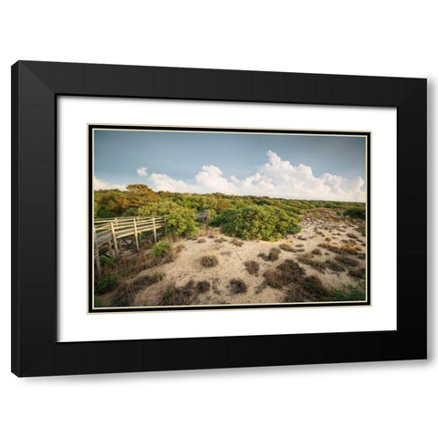 First Landing Dunes I Black Modern Wood Framed Art Print with Double Matting by Mead, Adam