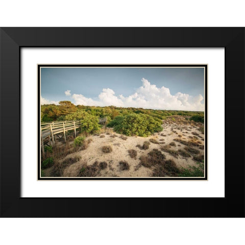 First Landing Dunes I Black Modern Wood Framed Art Print with Double Matting by Mead, Adam