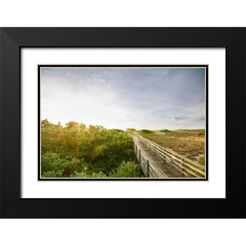 First Landing Dunes II Black Modern Wood Framed Art Print with Double Matting by Mead, Adam