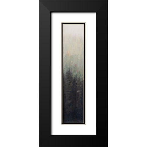 Pacific Northwest Panel I Black Modern Wood Framed Art Print with Double Matting by Iafrate, Sandra
