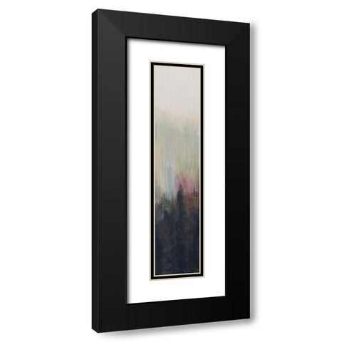 Pacific Northwest Panel III Black Modern Wood Framed Art Print with Double Matting by Iafrate, Sandra