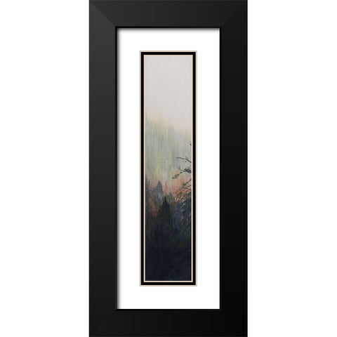 Pacific Northwest Panel IV Black Modern Wood Framed Art Print with Double Matting by Iafrate, Sandra