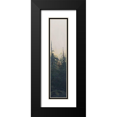 Pacific Northwest Panel VI Black Modern Wood Framed Art Print with Double Matting by Iafrate, Sandra