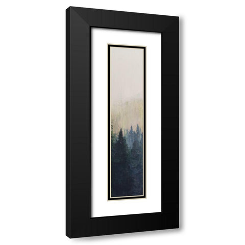 Pacific Northwest Panel VII Black Modern Wood Framed Art Print with Double Matting by Iafrate, Sandra