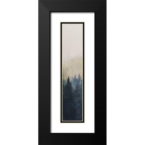 Pacific Northwest Panel VII Black Modern Wood Framed Art Print with Double Matting by Iafrate, Sandra