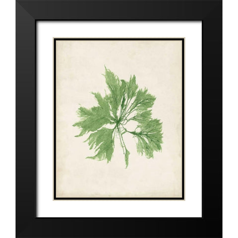 Peridot Seaweed I Black Modern Wood Framed Art Print with Double Matting by Vision Studio