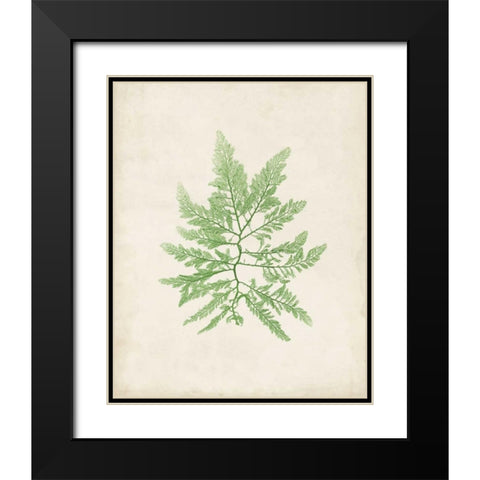 Peridot Seaweed II Black Modern Wood Framed Art Print with Double Matting by Vision Studio