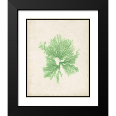 Peridot Seaweed III Black Modern Wood Framed Art Print with Double Matting by Vision Studio