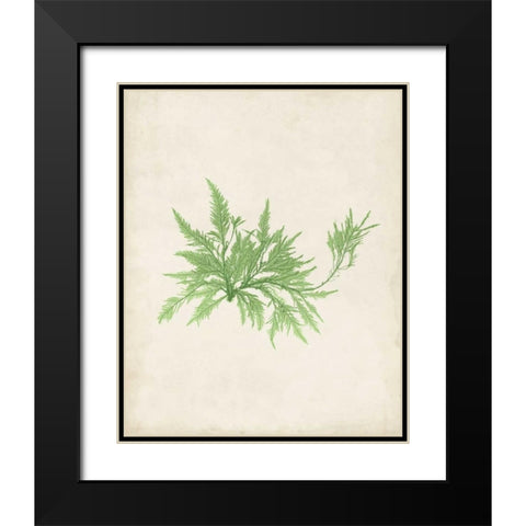 Peridot Seaweed V Black Modern Wood Framed Art Print with Double Matting by Vision Studio