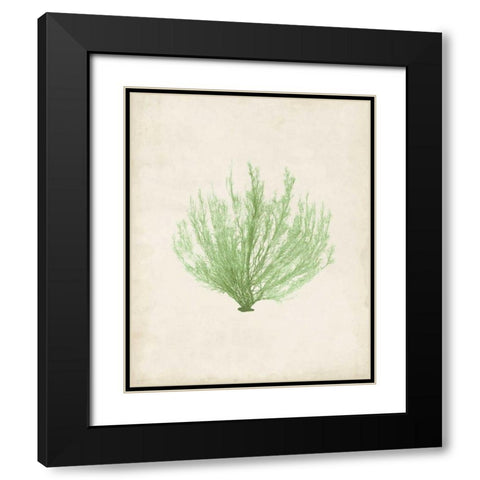 Peridot Seaweed VI Black Modern Wood Framed Art Print with Double Matting by Vision Studio