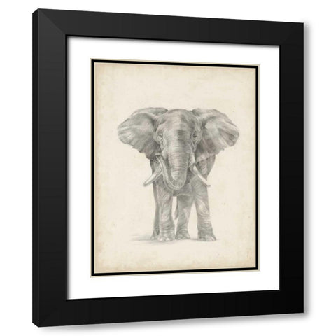 Elephant Sketch II Black Modern Wood Framed Art Print with Double Matting by Harper, Ethan