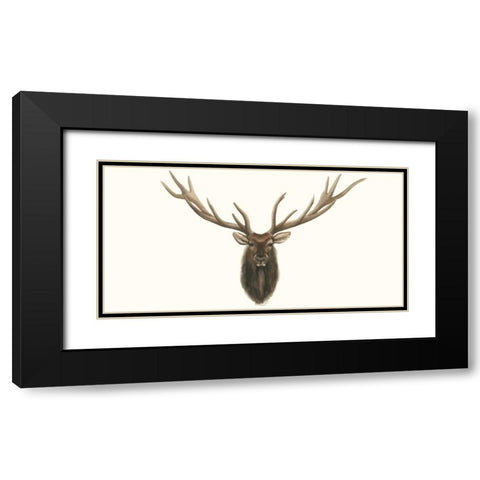 Elk Bust Black Modern Wood Framed Art Print with Double Matting by Popp, Grace