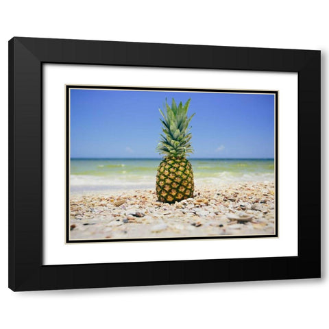 South Florida Pineapple II Black Modern Wood Framed Art Print with Double Matting by Mead, Adam