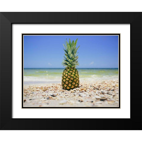 South Florida Pineapple II Black Modern Wood Framed Art Print with Double Matting by Mead, Adam
