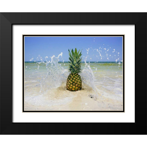 South Florida Pineapple III Black Modern Wood Framed Art Print with Double Matting by Mead, Adam