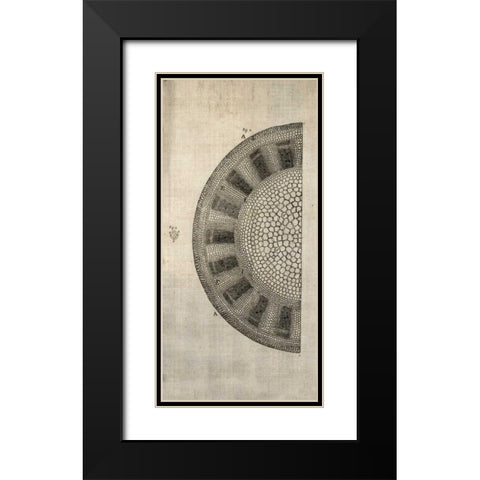 Cross Cut I Left Black Modern Wood Framed Art Print with Double Matting by Butler, John