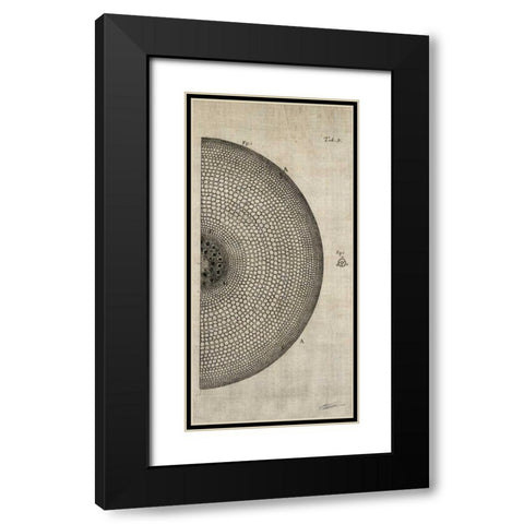 Cross Cut I Right Black Modern Wood Framed Art Print with Double Matting by Butler, John