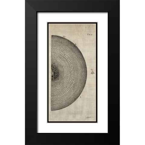 Cross Cut I Right Black Modern Wood Framed Art Print with Double Matting by Butler, John
