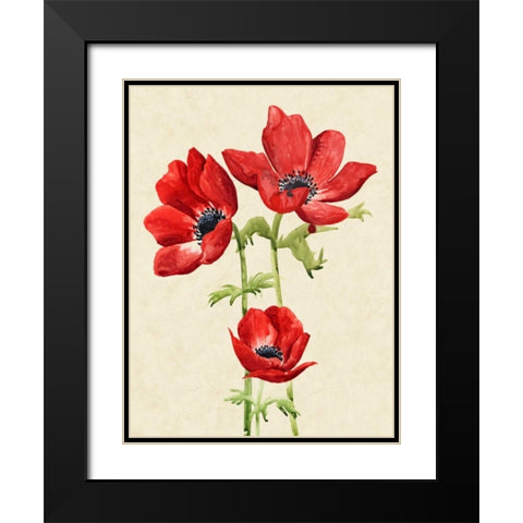 Heirloom Anemones I Black Modern Wood Framed Art Print with Double Matting by Popp, Grace
