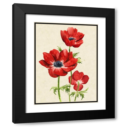 Heirloom Anemones II Black Modern Wood Framed Art Print with Double Matting by Popp, Grace