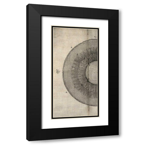 Cross Cut II Left Black Modern Wood Framed Art Print with Double Matting by Butler, John
