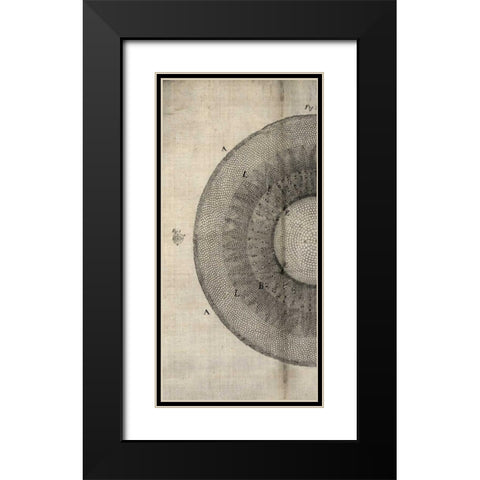 Cross Cut II Left Black Modern Wood Framed Art Print with Double Matting by Butler, John