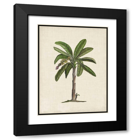 British Palms II Black Modern Wood Framed Art Print with Double Matting by McCavitt, Naomi