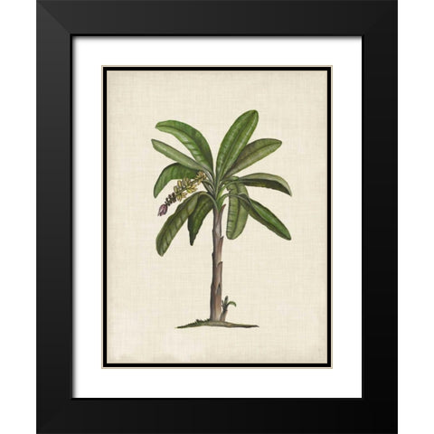 British Palms II Black Modern Wood Framed Art Print with Double Matting by McCavitt, Naomi
