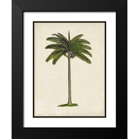 British Palms IV Black Modern Wood Framed Art Print with Double Matting by McCavitt, Naomi
