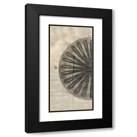 Cross Cut III Left Black Modern Wood Framed Art Print with Double Matting by Butler, John