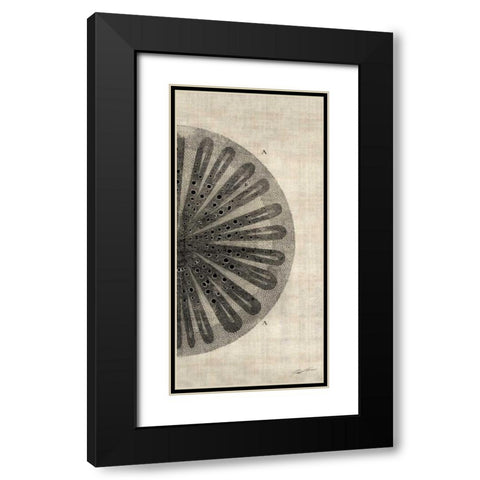 Cross Cut III Right Black Modern Wood Framed Art Print with Double Matting by Butler, John
