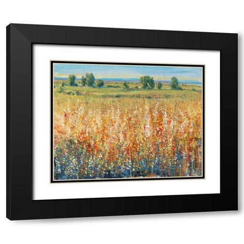 Gold and Red Field II Black Modern Wood Framed Art Print with Double Matting by OToole, Tim