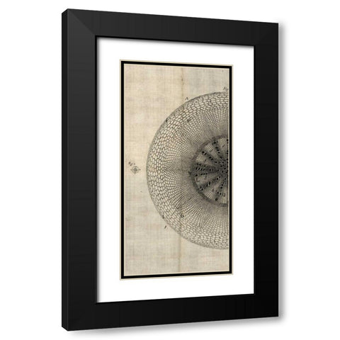 Cross Cut IV Left Black Modern Wood Framed Art Print with Double Matting by Butler, John
