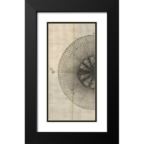 Cross Cut IV Left Black Modern Wood Framed Art Print with Double Matting by Butler, John