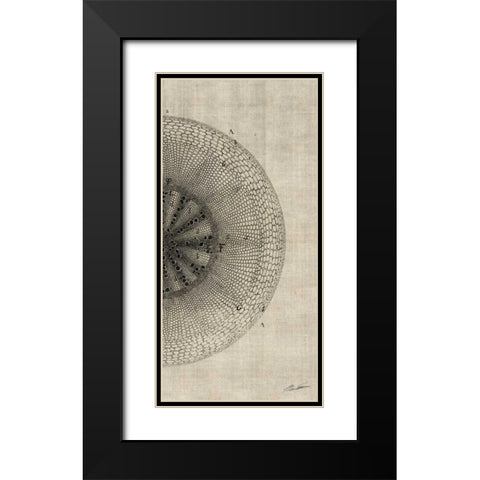 Cross Cut IV Right Black Modern Wood Framed Art Print with Double Matting by Butler, John